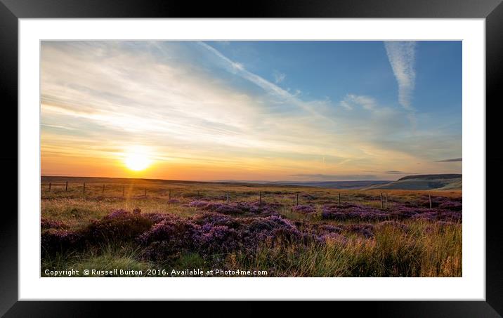 Beautiful heather Framed Mounted Print by Russell Burton