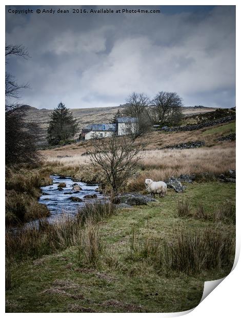 Moorland beauty Print by Andy dean