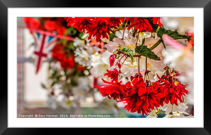 Red and white hanging flowers with a union jack in Framed Mounted Print by Gary Norman