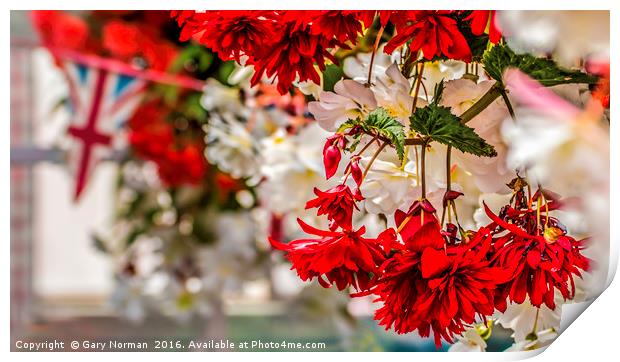 Red and white hanging flowers with a union jack in Print by Gary Norman