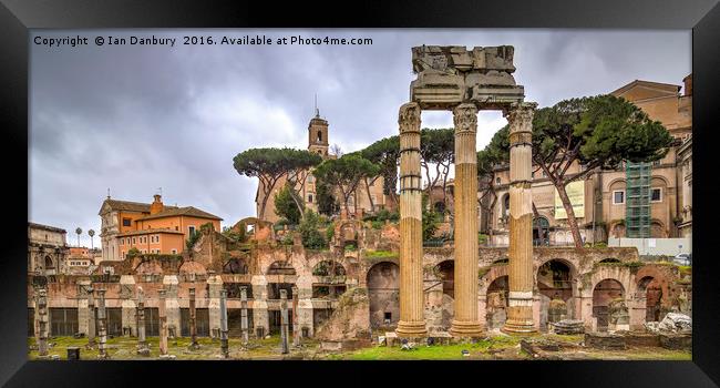 The Forum in Rome Framed Print by Ian Danbury