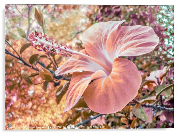Fantasy Colors Hibiscus Flower Digital Art Acrylic by Daniel Ferreira-Leite