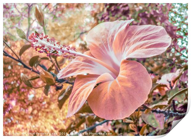 Fantasy Colors Hibiscus Flower Digital Art Print by Daniel Ferreira-Leite