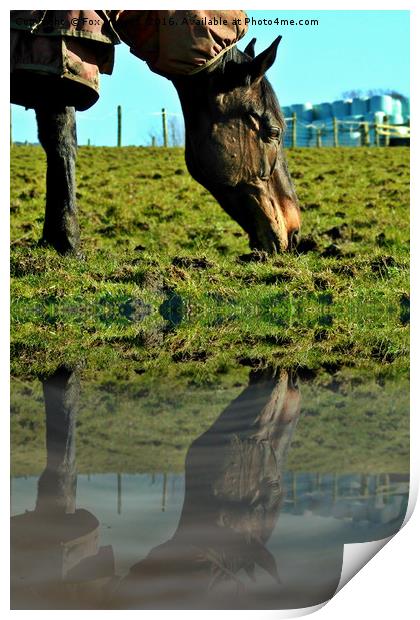 horse in the field Print by Derrick Fox Lomax