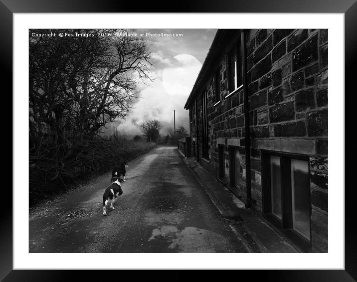 Dog walks Framed Mounted Print by Derrick Fox Lomax