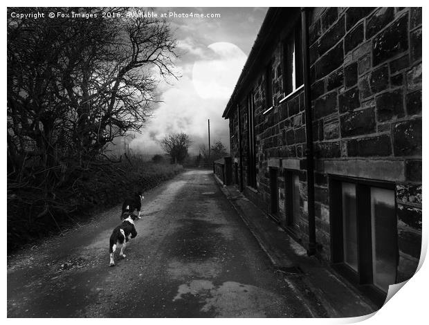 Dog walks Print by Derrick Fox Lomax