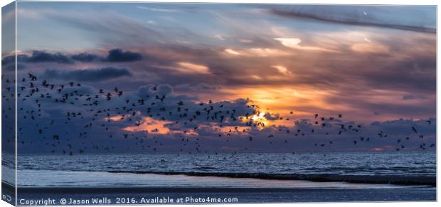Flock of birds fleeing the beach Canvas Print by Jason Wells