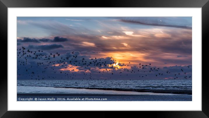 Flock of birds fleeing the beach Framed Mounted Print by Jason Wells