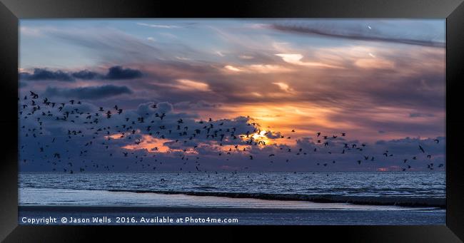 Flock of birds fleeing the beach Framed Print by Jason Wells