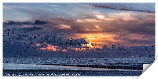 Flock of birds fleeing the beach Print by Jason Wells