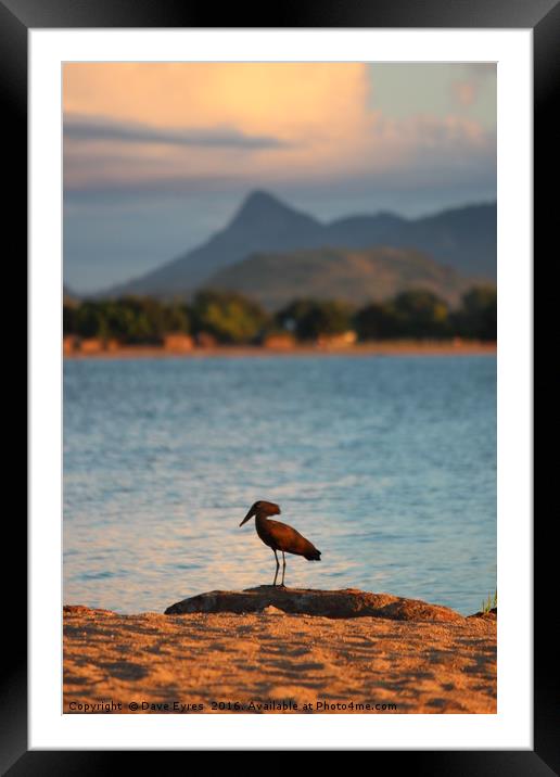 Lake Malawi Framed Mounted Print by Dave Eyres