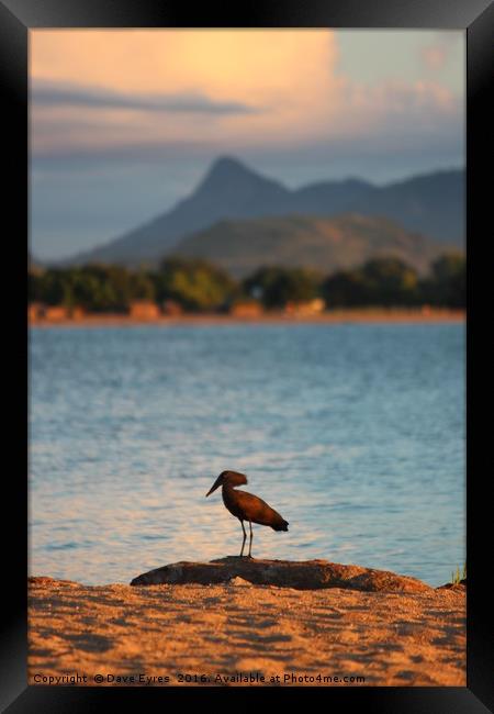 Lake Malawi Framed Print by Dave Eyres