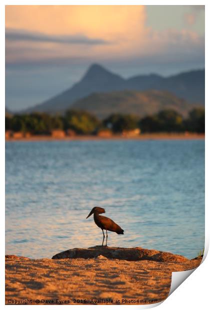 Lake Malawi Print by Dave Eyres