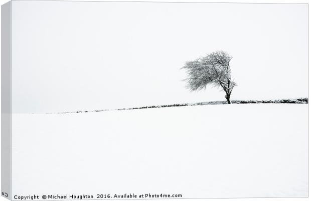 Winter tree Canvas Print by Michael Houghton