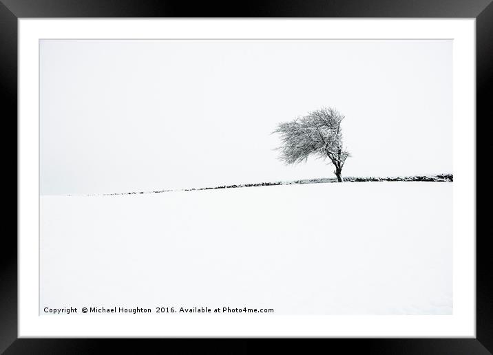 Winter tree Framed Mounted Print by Michael Houghton