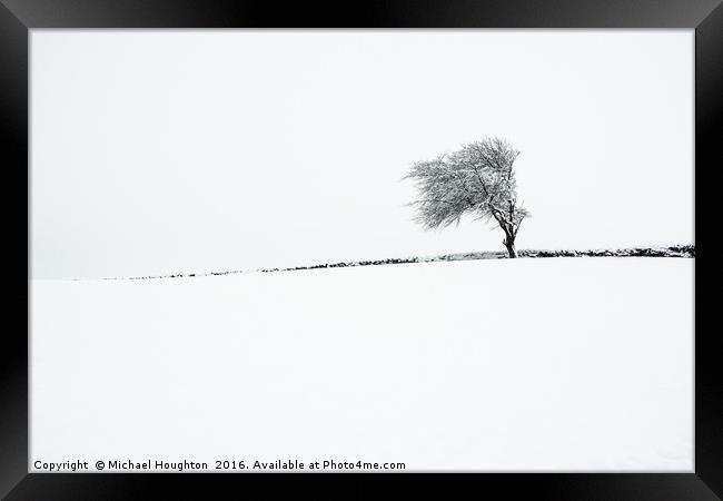Winter tree Framed Print by Michael Houghton
