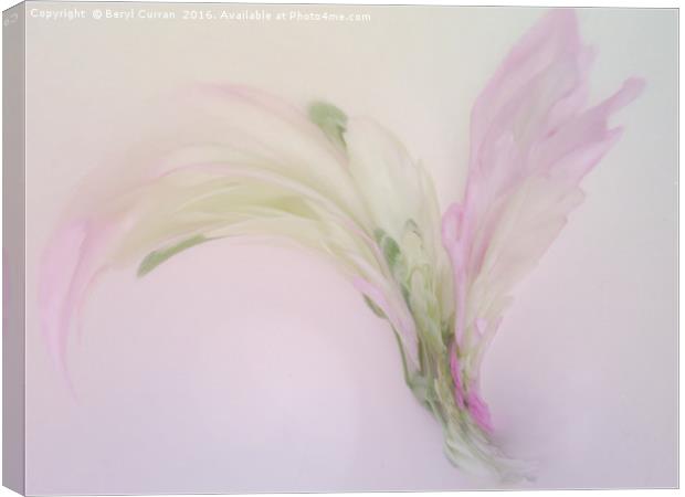 Enchanting Floral Corsage Canvas Print by Beryl Curran