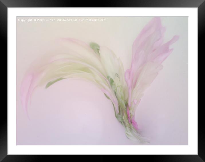 Enchanting Floral Corsage Framed Mounted Print by Beryl Curran