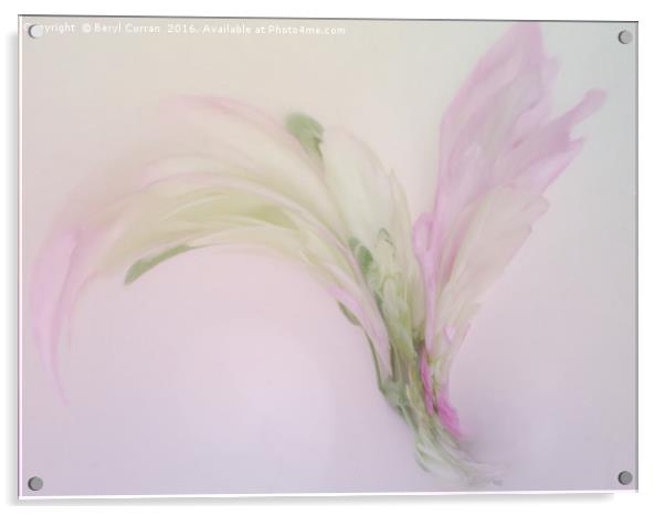 Enchanting Floral Corsage Acrylic by Beryl Curran