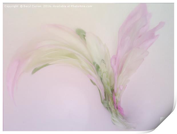 Enchanting Floral Corsage Print by Beryl Curran