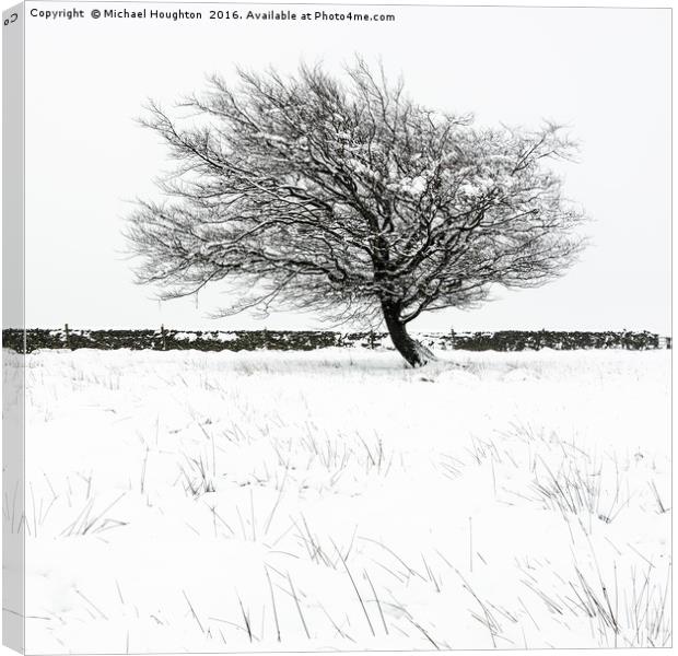 Lone winter tree Canvas Print by Michael Houghton