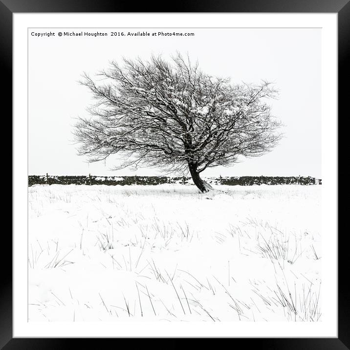 Lone winter tree Framed Mounted Print by Michael Houghton
