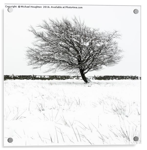 Lone winter tree Acrylic by Michael Houghton