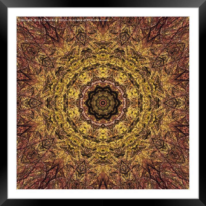 Golden Kaleidoscope  Framed Mounted Print by LIZ Alderdice