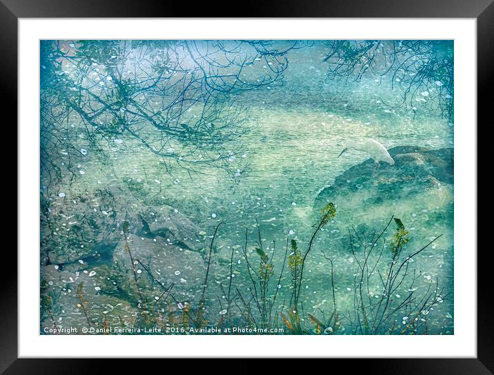 Memories of a Dream Nature Photo Collage Framed Mounted Print by Daniel Ferreira-Leite