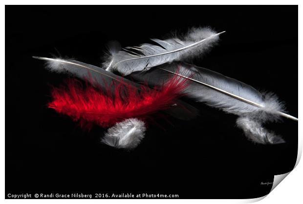 Red Feather Print by Randi Grace Nilsberg