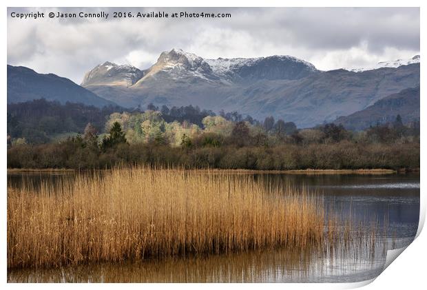 Elterwater Print by Jason Connolly