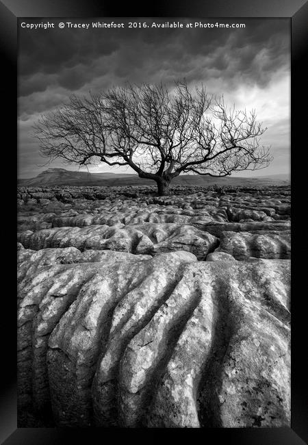 Scarred Landscape (Mono) Framed Print by Tracey Whitefoot