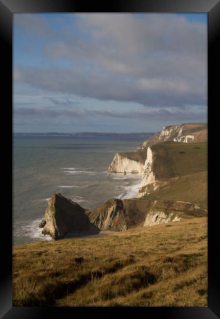 South Dorset Coastline Chalk Cliffs Framed Print by Colin Tracy