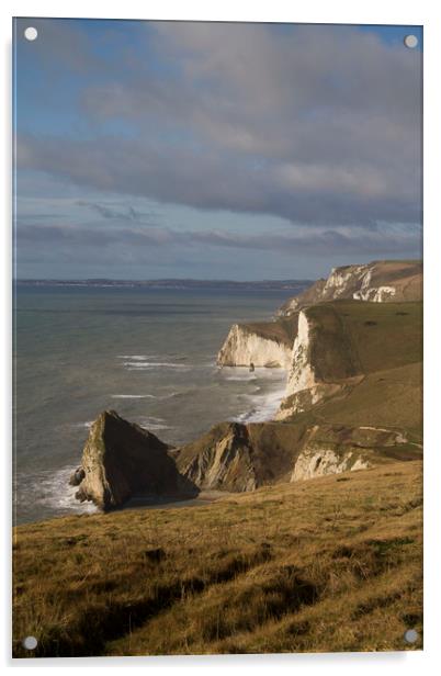 South Dorset Coastline Chalk Cliffs Acrylic by Colin Tracy