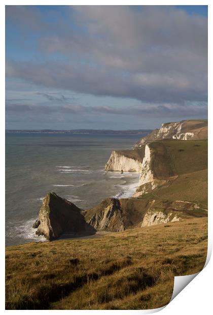 South Dorset Coastline Chalk Cliffs Print by Colin Tracy