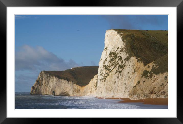 White Nothe, Dorset Framed Mounted Print by Colin Tracy