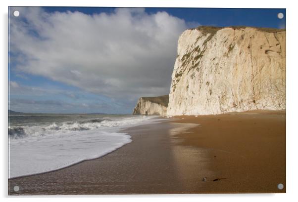 Chalk Cliffs of Durdle Door Beach, Dorset Acrylic by Colin Tracy