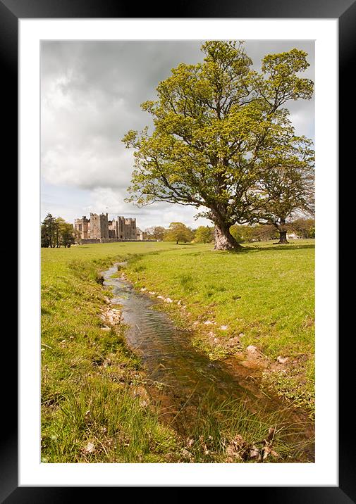 Raby Castle Grounds Framed Mounted Print by Jim kernan
