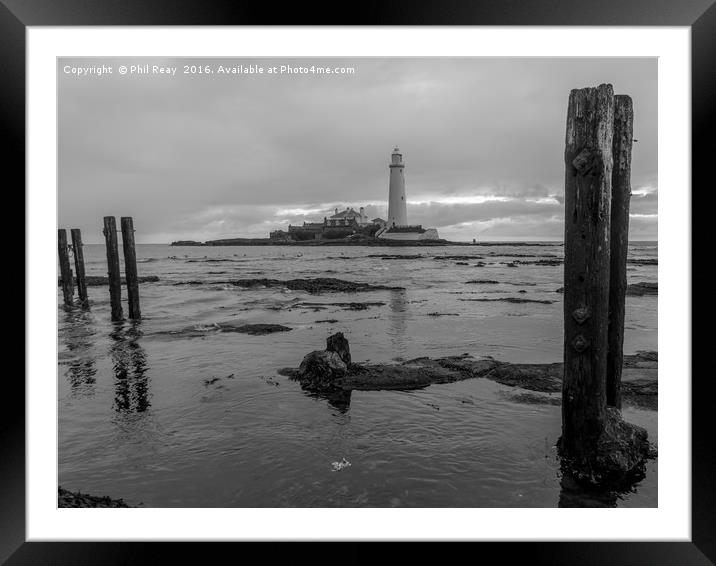 Tide out at St Mary`s  Framed Mounted Print by Phil Reay