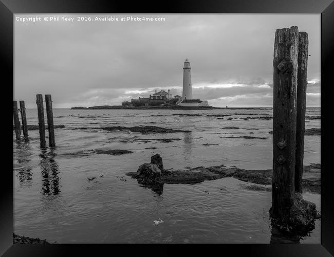 Tide out at St Mary`s  Framed Print by Phil Reay