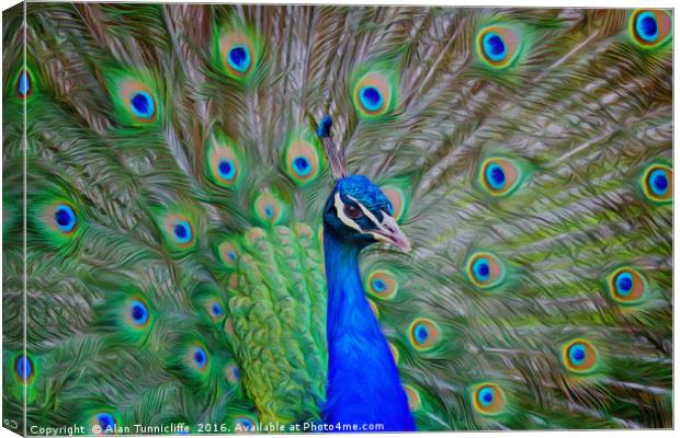 Indian Peafowl peacock Canvas Print by Alan Tunnicliffe