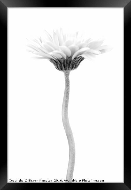 Elegant Flower Framed Print by Sharon Kingston