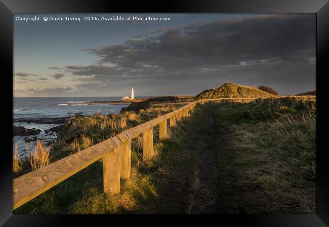 Sunset St Marys Lighthouse Framed Print by David Irving