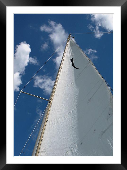 Sail Framed Mounted Print by Howard Corlett