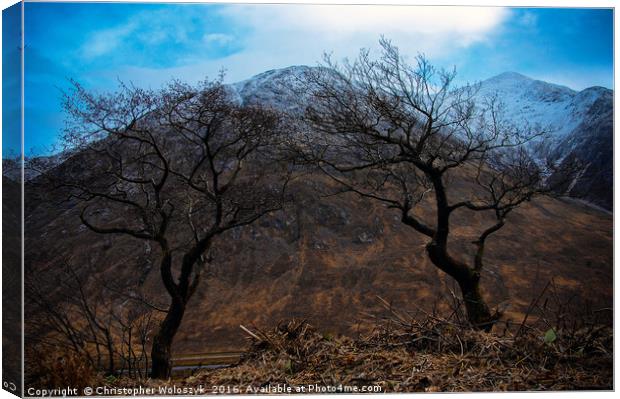 Trees over Glen etive Canvas Print by Christopher Woloszyk