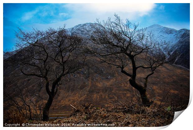 Trees over Glen etive Print by Christopher Woloszyk