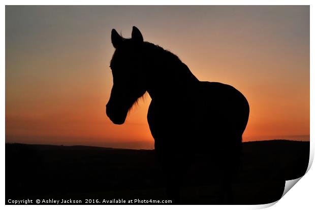 Equine Sunset Print by Ashley Jackson