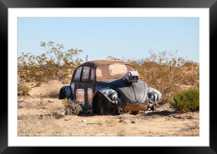 Desert Bug Framed Mounted Print by Debra Farrey