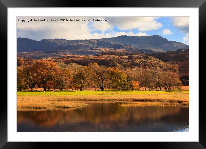 Llyn Dinas and Cnicht in Autumn Framed Mounted Print by Pearl Bucknall