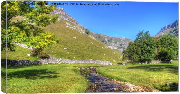 Below Gordale Scar Panorama Canvas Print by Colin Williams Photography